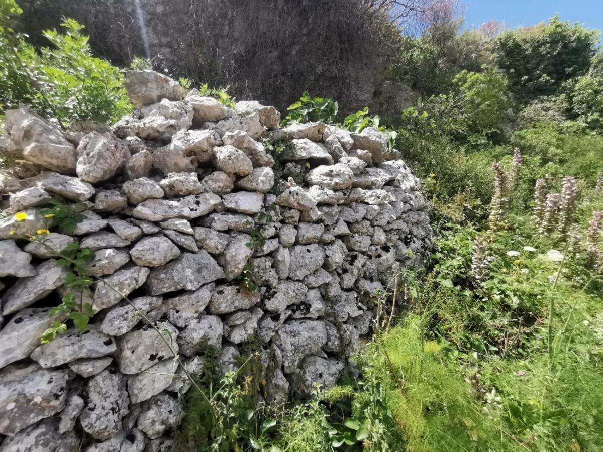 Anna 1924 Bed and Breakfast Gagliano del Capo Εξωτερικό φωτογραφία
