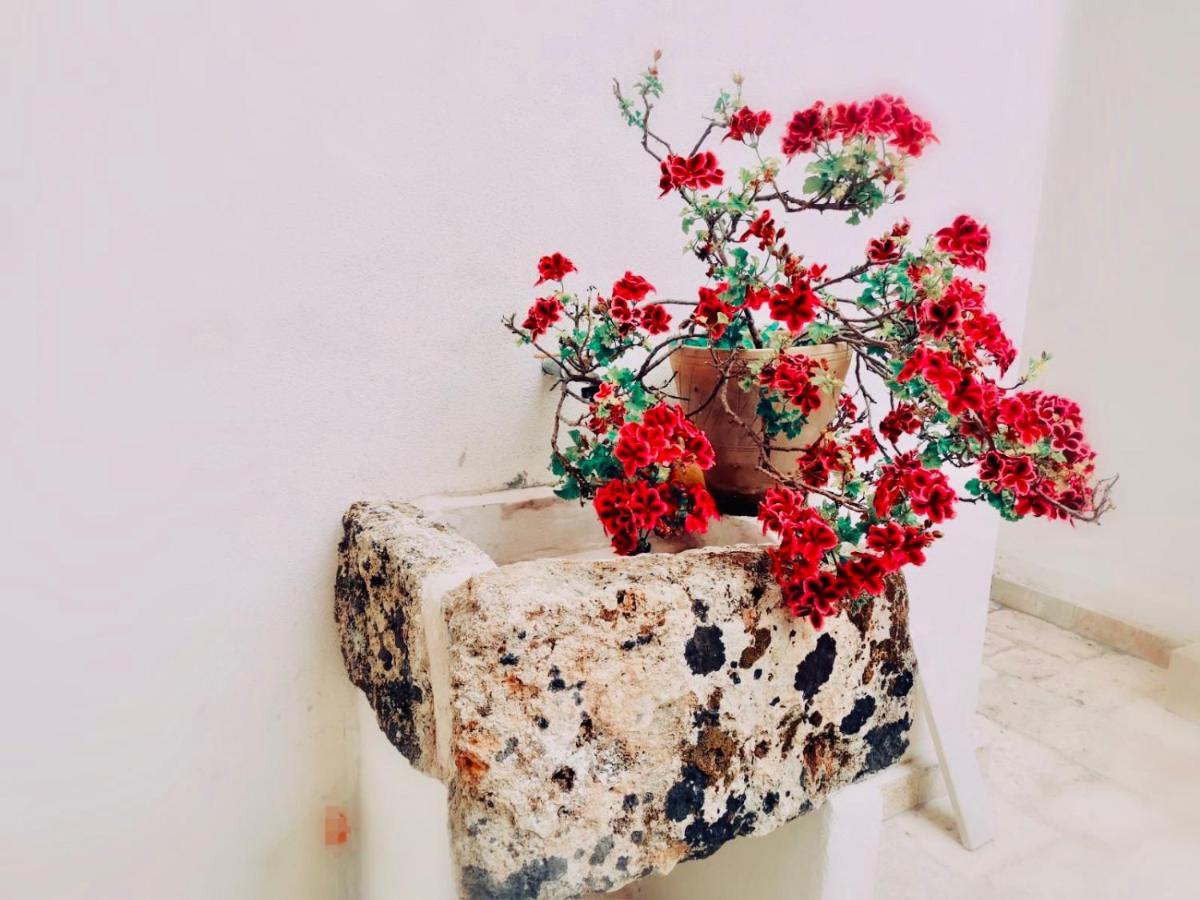 Anna 1924 Bed and Breakfast Gagliano del Capo Εξωτερικό φωτογραφία